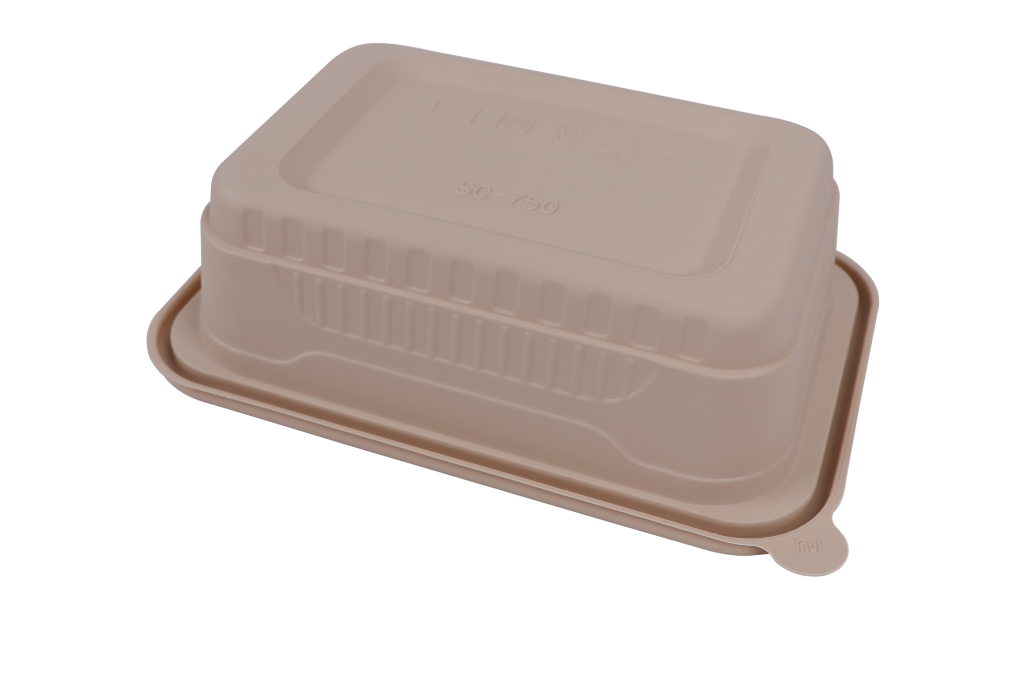 Biodegradable Lunch Box Dessert Tray Food Containers