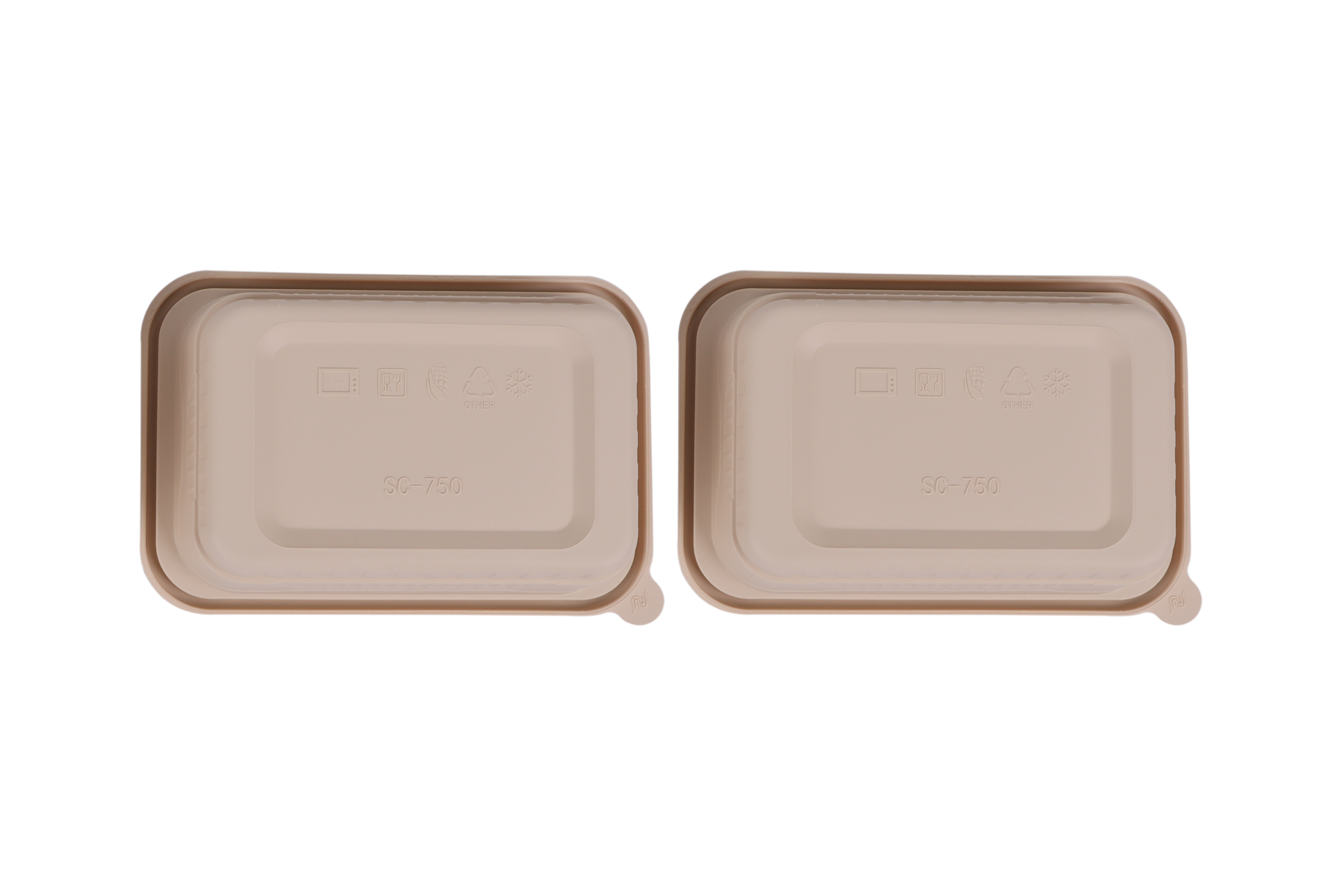 Biodegradable Lunch Box Dessert Tray Food Containers