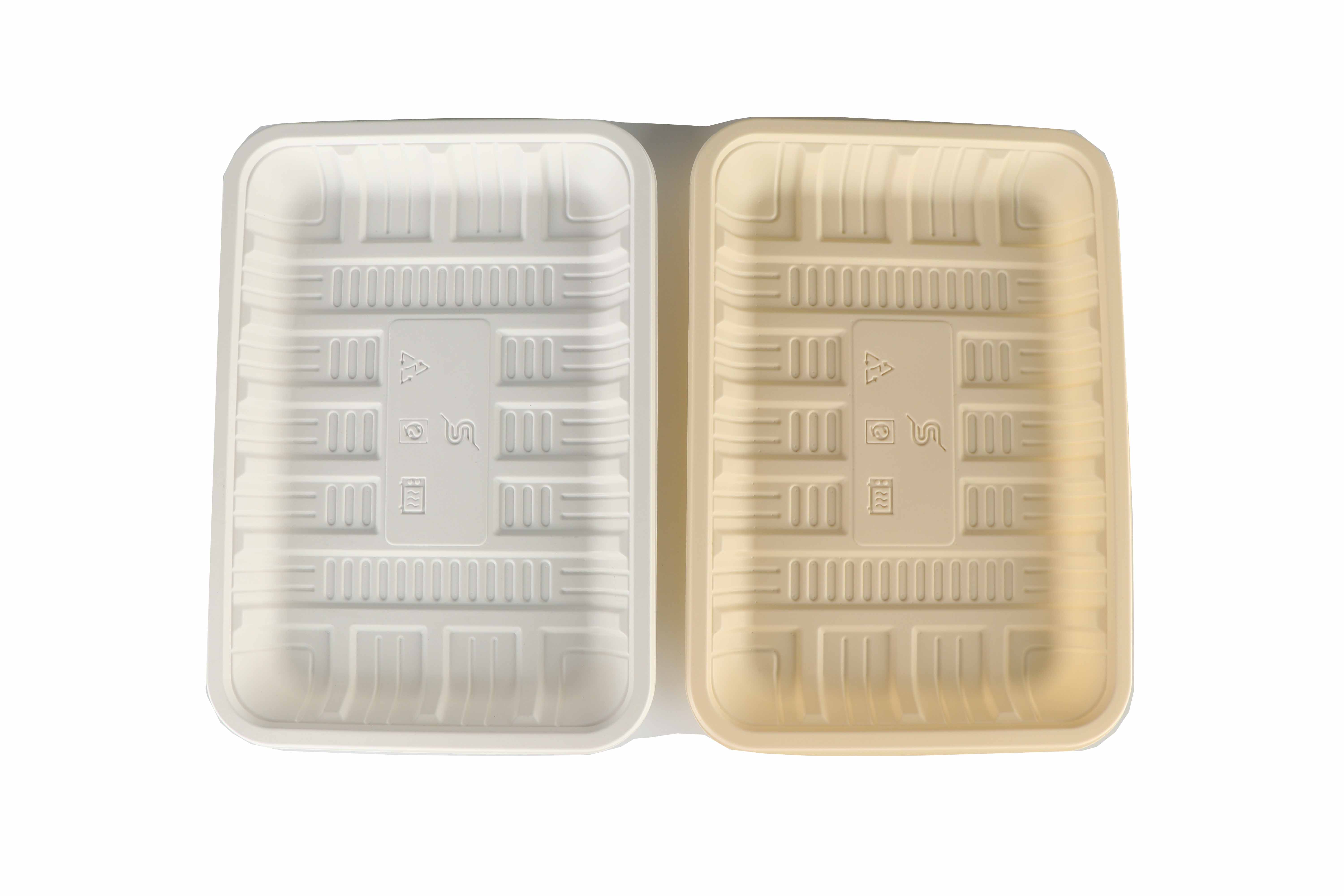 disposable lunch box.jpg